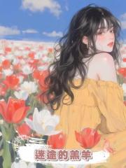 迷途的羔羊